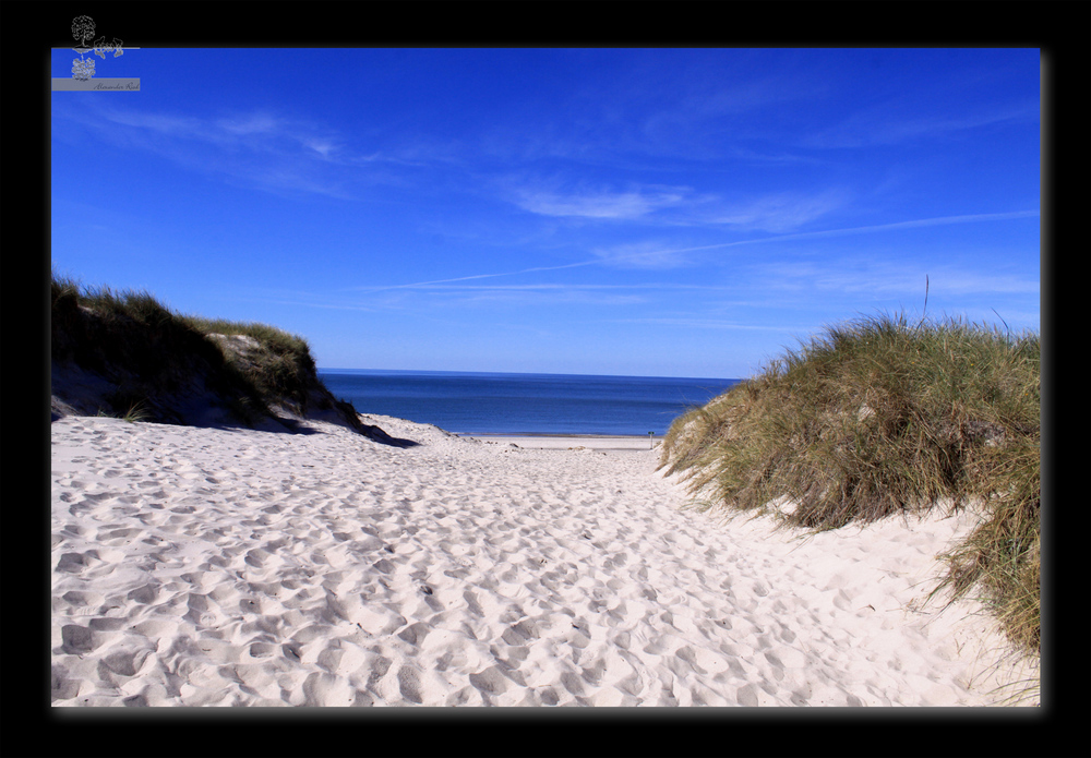 Im Auge des Wolfes 4.JPG