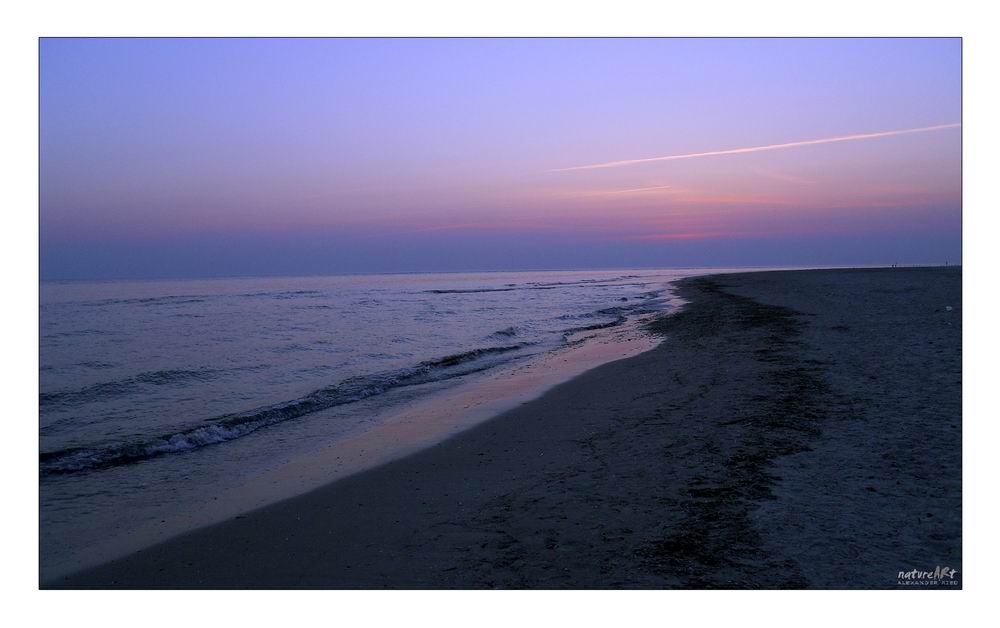 Im Auge des Wolfes 4.JPG