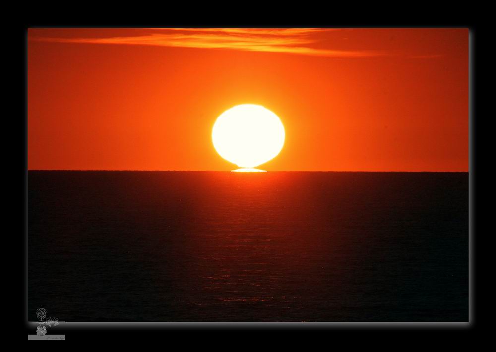 Im Auge des Wolfes 4.JPG