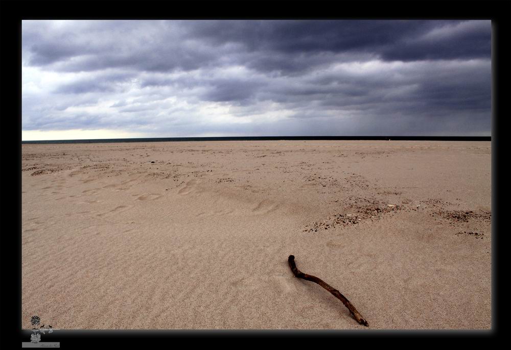 Im Auge des Wolfes 4.JPG