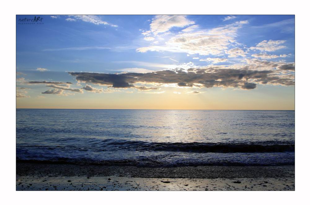 Im Auge des Wolfes 4.JPG