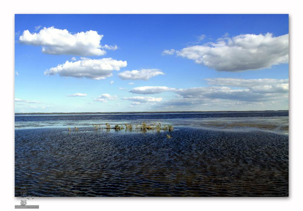 Im Auge des Wolfes 4.JPG