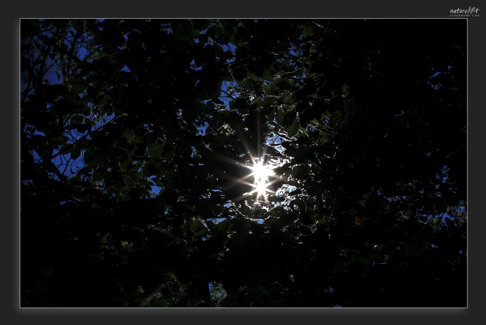 Im Auge des Wolfes 4.JPG