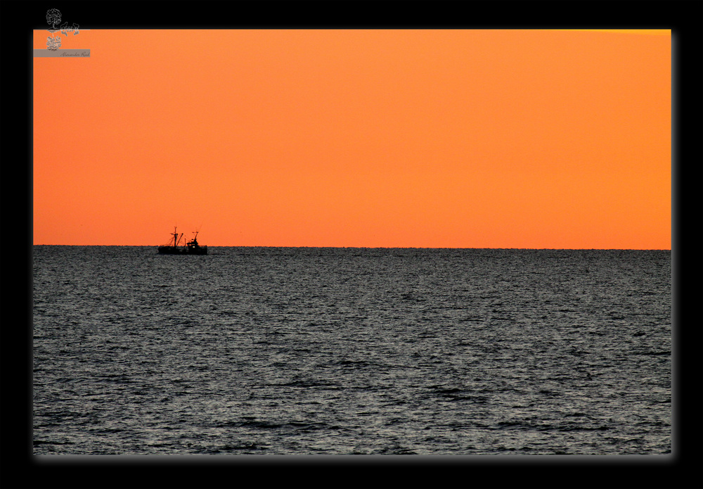 Im Auge des Wolfes 4.JPG