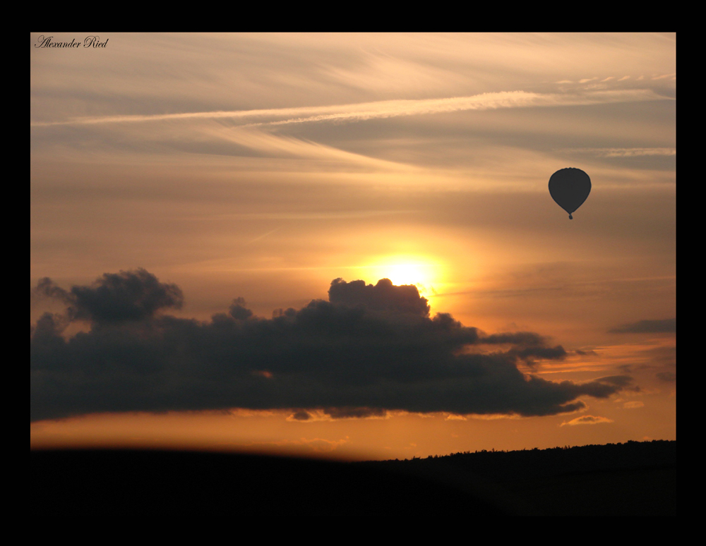 Im Auge des Wolfes 4.JPG