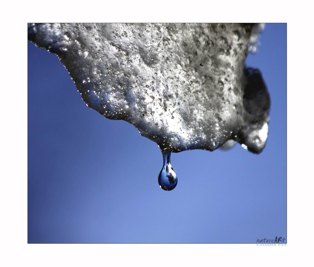 Im Auge des Wolfes 4.JPG